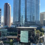 🎄クリスマスのカルティエ🎄