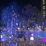 ✨六本木ミッドタウンのイルミネーションとともに時を楽しむひととき✨